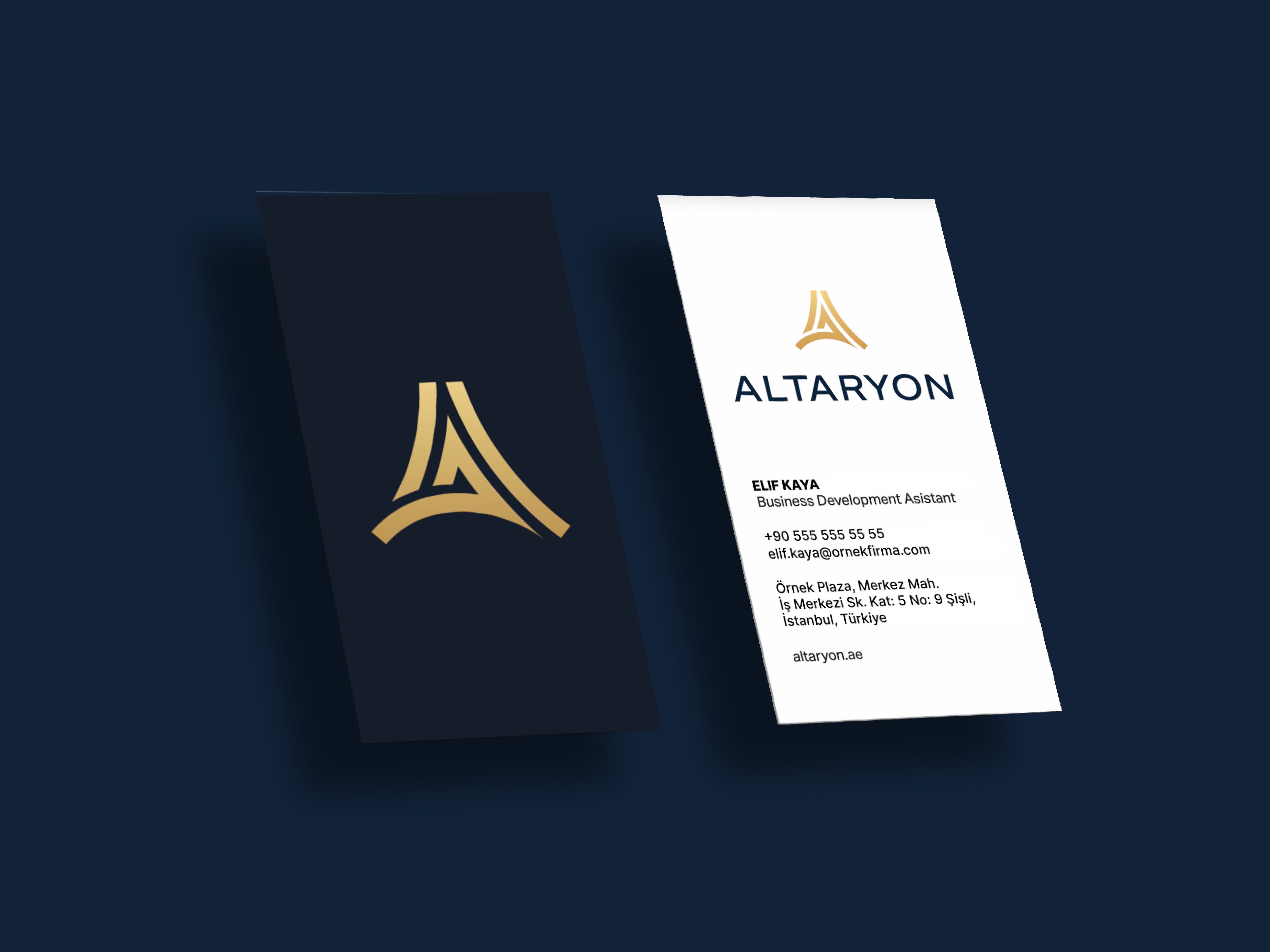 Altaryon proje görseli