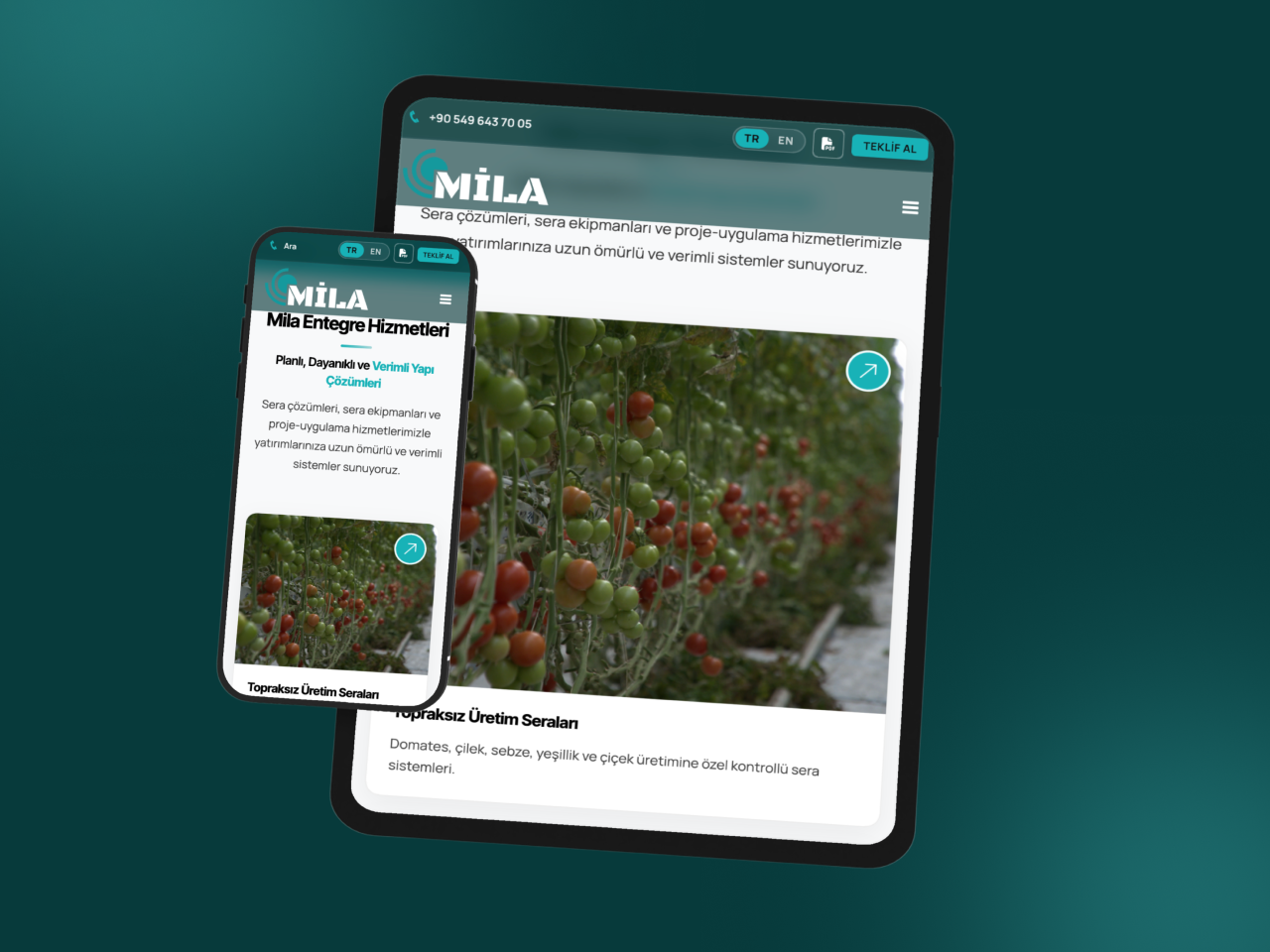 MILA proje görseli