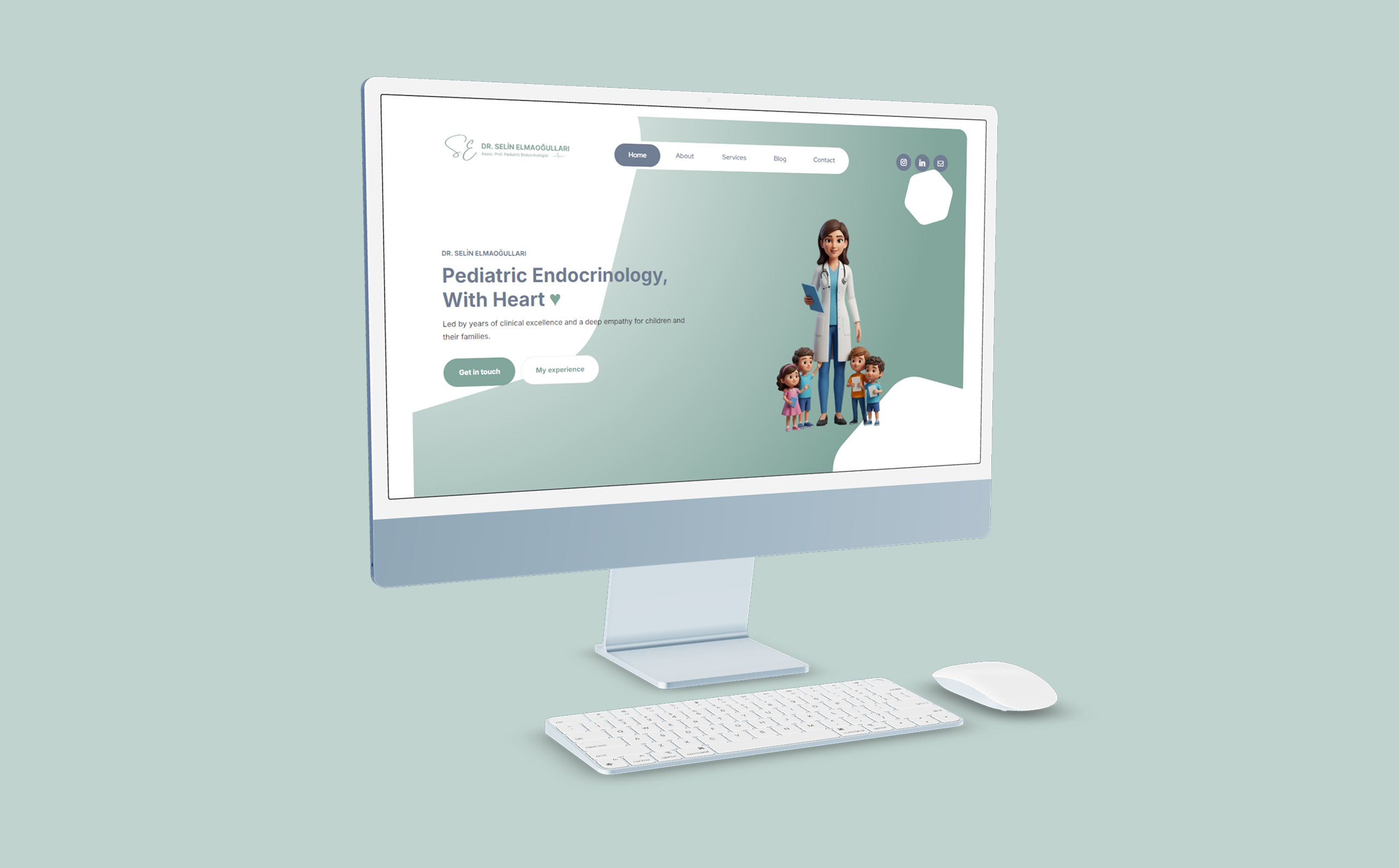 Dr. Selin Elmaoğulları proje görseli