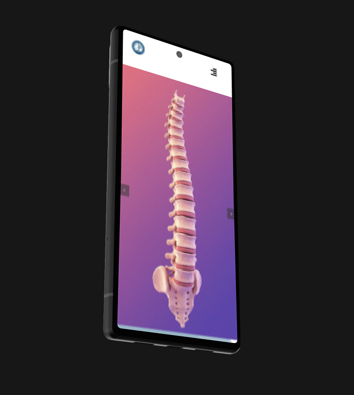 International Spine Society proje görseli